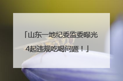 山东一地纪委监委曝光4起违规吃喝问题！