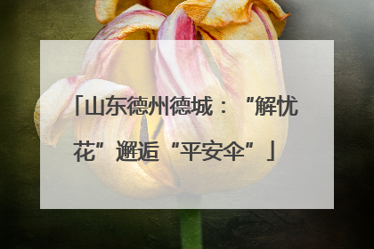 山东德州德城：“解忧花”邂逅“平安伞”