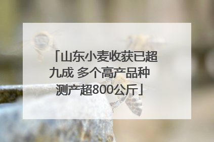山东小麦收获已超九成 多个高产品种测产超800公斤