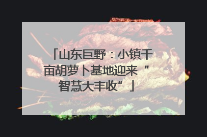 山东巨野：小镇千亩胡萝卜基地迎来“智慧大丰收”
