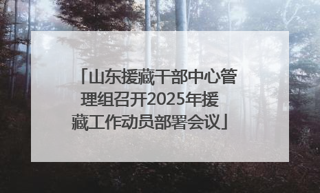 山东援藏干部中心管理组召开2025年援藏工作动员部署会议