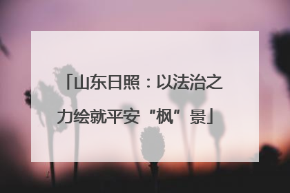 山东日照：以法治之力绘就平安“枫”景