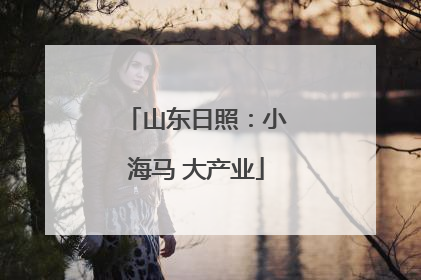 山东日照：小海马 大产业