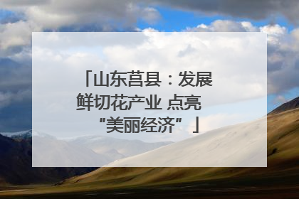 山东莒县：发展鲜切花产业 点亮“美丽经济”