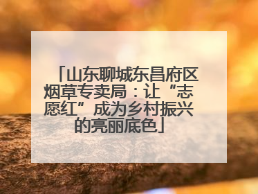 山东聊城东昌府区烟草专卖局：让“志愿红”成为乡村振兴的亮丽底色