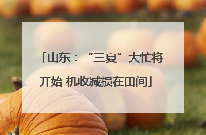 山东：“三夏”大忙将开始 机收减损在田间