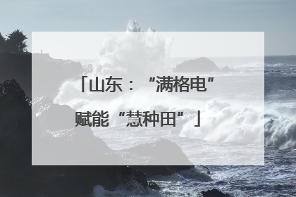 山东：“满格电”赋能“慧种田”