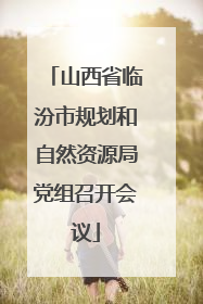 山西省临汾市规划和自然资源局党组召开会议