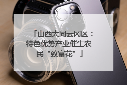 山西大同云冈区：特色优势产业催生农民“致富花”