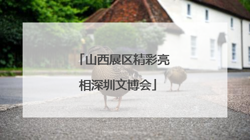 山西展区精彩亮相深圳文博会