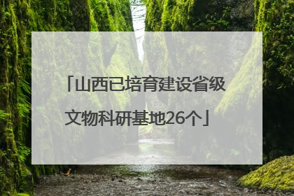山西已培育建设省级文物科研基地26个