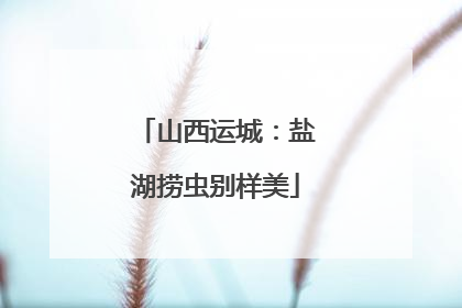山西运城：盐湖捞虫别样美