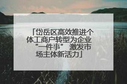 岱岳区高效推进个体工商户转型为企业“一件事” 激发市场主体新活力