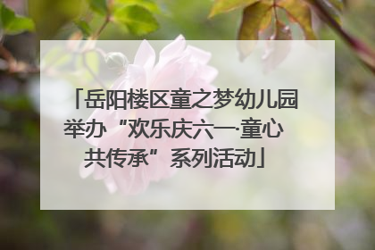 岳阳楼区童之梦幼儿园举办“欢乐庆六一·童心共传承”系列活动