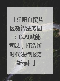 岳阳自贸片区数智法务园：以AI赋能司法，打造新时代法律服务新标杆
