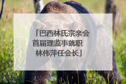 巴西林氏宗亲会首届理监事就职 林伟萍任会长
