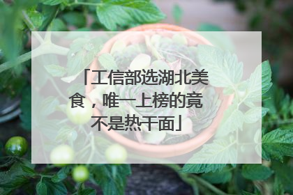 工信部选湖北美食，唯一上榜的竟不是热干面