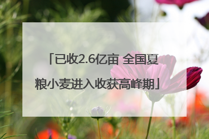 已收2.6亿亩 全国夏粮小麦进入收获高峰期