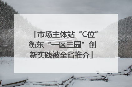 市场主体站“C位” 衡东“一区三园”创新实践被全省推介
