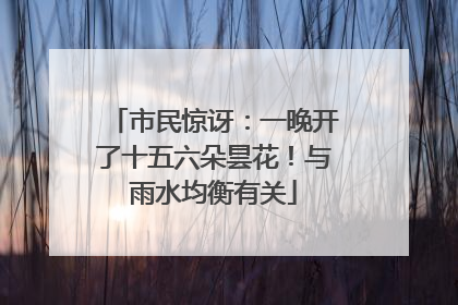 市民惊讶：一晚开了十五六朵昙花！与雨水均衡有关