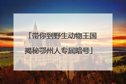 带你到野生动物王国揭秘鄂州人专属暗号