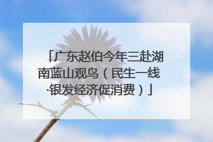 广东赵伯今年三赴湖南蓝山观鸟（民生一线·银发经济促消费）