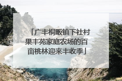 广丰桐畈镇下社村果丰苑家庭农场的百亩桃林迎来丰收季