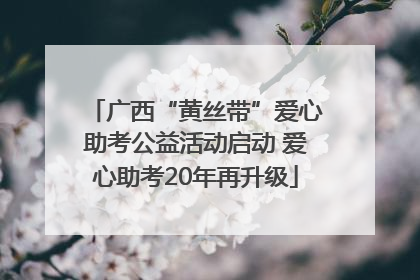 广西“黄丝带”爱心助考公益活动启动 爱心助考20年再升级