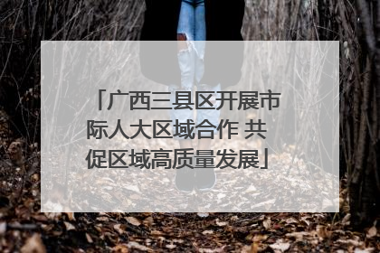 广西三县区开展市际人大区域合作 共促区域高质量发展