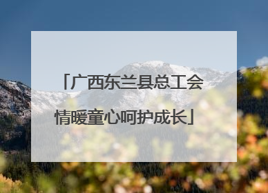 广西东兰县总工会情暖童心呵护成长