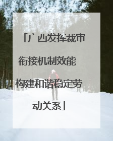广西发挥裁审衔接机制效能 构建和谐稳定劳动关系