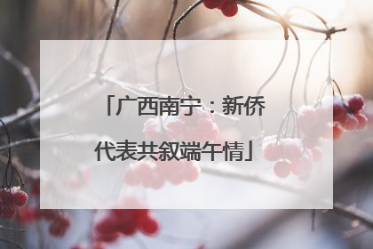 广西南宁：新侨代表共叙端午情