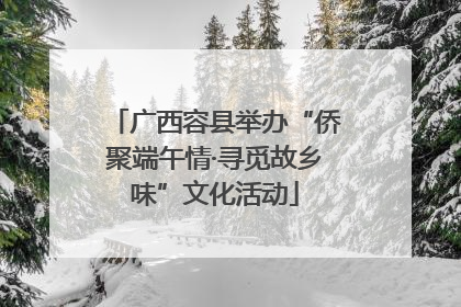 广西容县举办“侨聚端午情·寻觅故乡味”文化活动