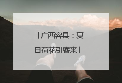 广西容县：夏日荷花引客来