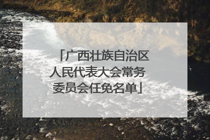 广西壮族自治区人民代表大会常务委员会任免名单
