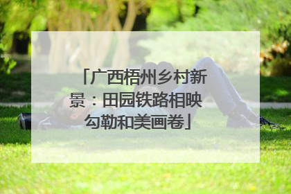 广西梧州乡村新景：田园铁路相映 勾勒和美画卷