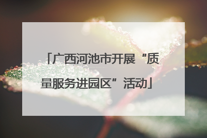 广西河池市开展“质量服务进园区”活动
