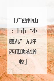 广西钟山：上市“小糖丸”无籽西瓜助农增收