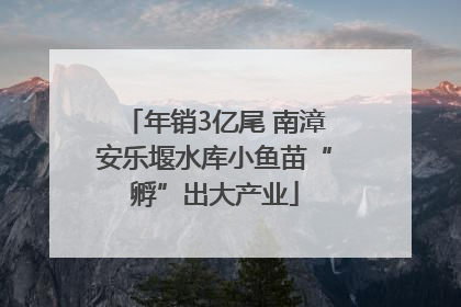 年销3亿尾 南漳安乐堰水库小鱼苗“孵”出大产业