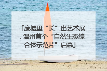 废墟里“长”出艺术展，温州首个“自然生态综合体示范片”启幕