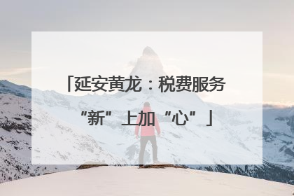 延安黄龙：税费服务“新”上加“心”