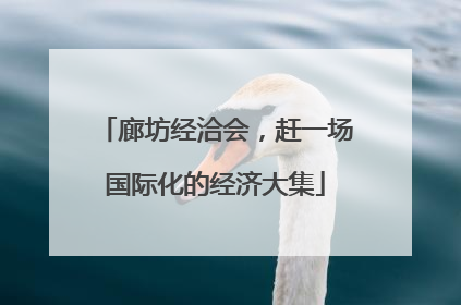 廊坊经洽会，赶一场国际化的经济大集