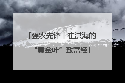 强农先锋丨崔洪海的“黄金叶”致富经