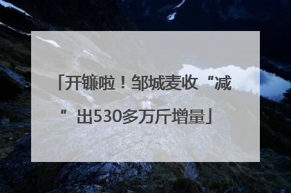 开镰啦！邹城麦收“减”出530多万斤增量