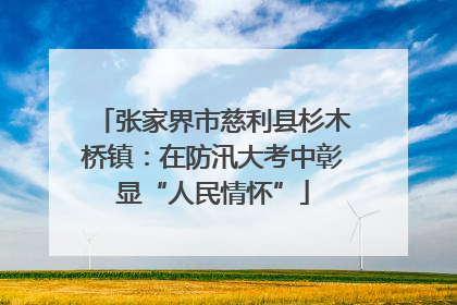 张家界市慈利县杉木桥镇：在防汛大考中彰显“人民情怀”