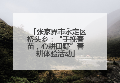 张家界市永定区桥头乡：“手挽春苗，心耕田野”春耕体验活动