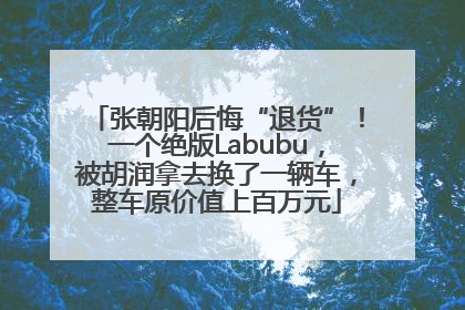 张朝阳后悔“退货”！一个绝版Labubu，被胡润拿去换了一辆车，整车原价值上百万元