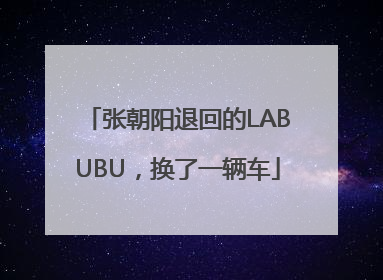 张朝阳退回的LABUBU，换了一辆车