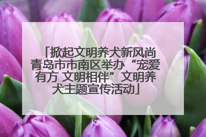 掀起文明养犬新风尚 青岛市市南区举办“宠爱有方 文明相伴”文明养犬主题宣传活动