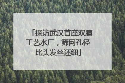 探访武汉首座双膜工艺水厂，筛网孔径比头发丝还细